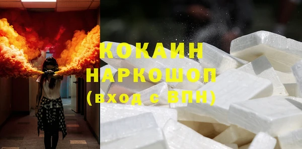 индика Богородицк