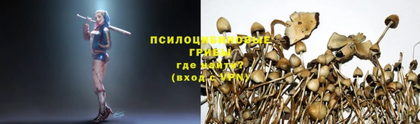 mdpv Богородск