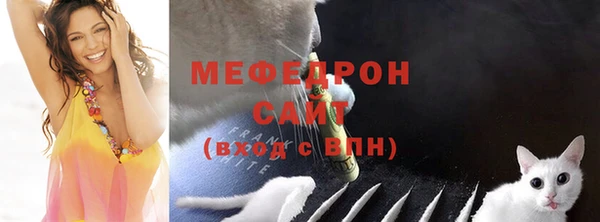 индика Богородицк