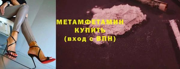 индика Богородицк