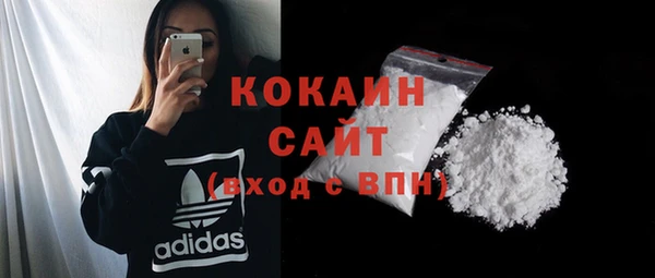 индика Богородицк