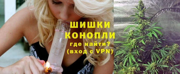 индика Богородицк