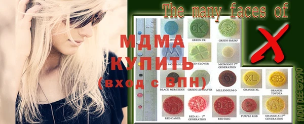 индика Богородицк